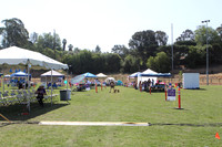 2013